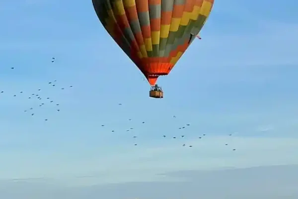 Balloon_1-1758154879_2_11zon