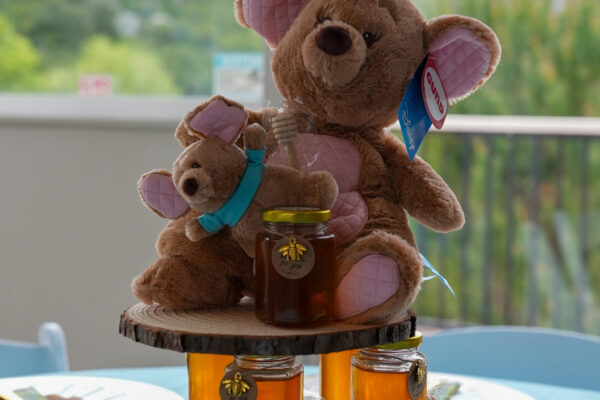 19-Sharisa Henry-TC-Productions-LA-Baby Shower Photos