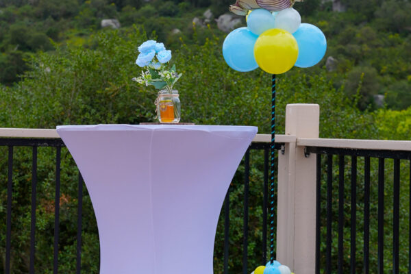 27-Sharisa Henry-TC-Productions-LA-Baby Shower Photos