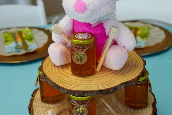 3-Sharisa Henry-TC-Productions-LA-Baby Shower Photos