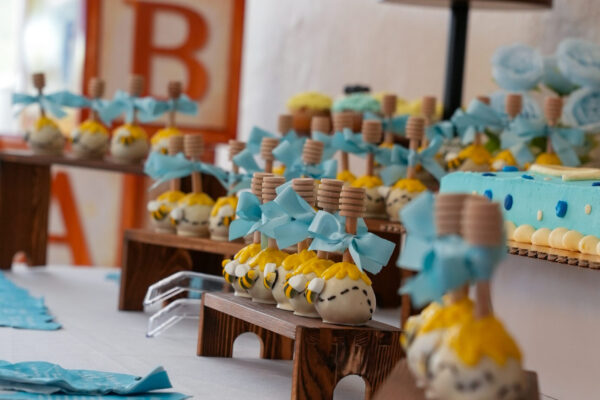 36-Sharisa Henry-TC-Productions-LA-Baby Shower Photos